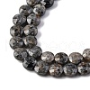 Natural Fluorescent Syenite Rock(Glow under UV Light) Beads Strands G-C179-A39-03-4