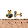 304 Stainless Steel Natural Paua Shell Stud Earrings EJEW-Z103-10G-5