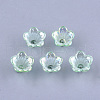 Transparent Acrylic Bead Caps TACR-T007-04C-1