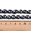 Natural Cultured Freshwater Pearl Beads Strands PEAR-N014-09A-05-6