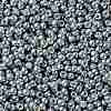 TOHO Round Seed Beads X-SEED-TR08-0565-2