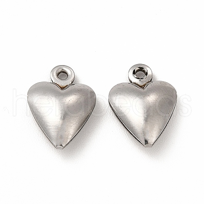Non-Tarnish 304 Stainless Steel Charms STAS-F289-03P-1