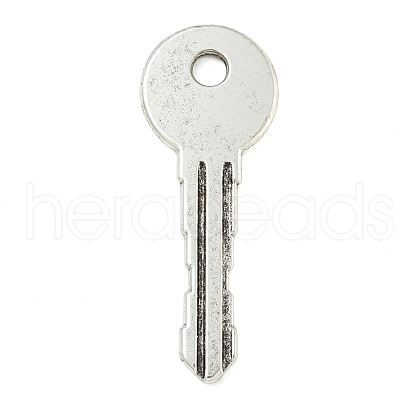 Tibetan Style Alloy Big Pendants FIND-M056-07A-AS-1