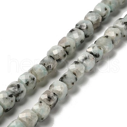 Natural Sesame Jasper Beads Strands G-H078-C24-01-1