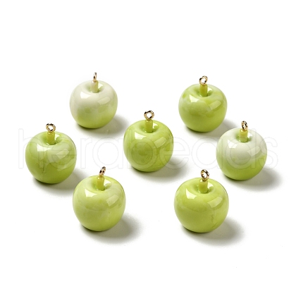Opaque Resin Pendants RESI-G037-02-1