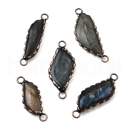 Brass Pave Natural Labradorite Feather Connector Charms G-Q350-03A-1
