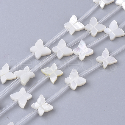 Natural White Shell Beads X-SSHEL-S264-070-1