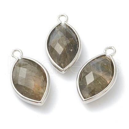 Natural Labradorite Pendants G-B009-01P-G-1