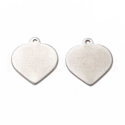 Non-Tarnish 201 Stainless Steel Pendants STAS-I172-15P-1