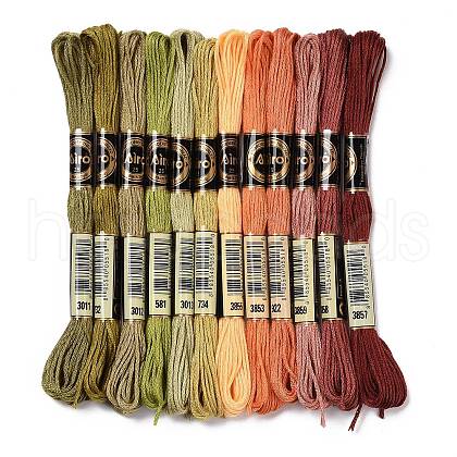 12 Skeins 12 Colors 6-Ply Polyester Embroidery Floss OCOR-M009-01B-15-1