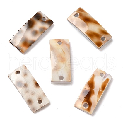 Natural Spiral Shell Connector Charms SHEL-K006-28-1