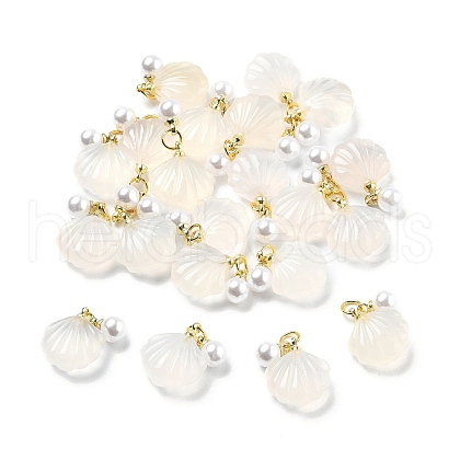 Natural Agate Natural Agate Shell Shaped Pendants G-U025-06G-1