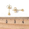 304 Stainless Steel Stud Earrings for Women EJEW-E603-06B-G-2