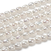 Natural Cultured Freshwater Pearl Beads Strands PEAR-T001-06C-3