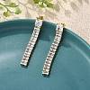 304 Stainless Steel Clear Cubic Zirconia Tassel Stud Earrings EJEW-Z094-01D-G02-1