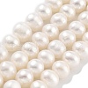 Natural Cultured Freshwater Pearl Beads Strands PEAR-C003-23-2