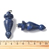 Natural Lapis Lazuli Pendants G-C187-01B-3