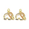 Brass Micro Pave Colorful Cubic Zirconia Pendants KK-E068-VF105-2