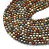 Natural Ocean Jasper Beads Strands G-A260-A05-01-3