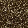 TOHO Round Seed Beads X-SEED-TR11-0389-2