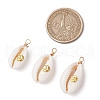 Copper Wire Wrapped Natural Cowrie Shell Pendants PALLOY-JF03554-02-2