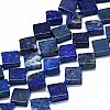 Natural Lapis Lazuli Beads Strands G-F725-31-1