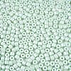 Baking Paint Pearlized Glass Seed Beads SEED-T008-03P-3