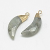 Natural Labradorite Pendants X-G-Q494-80D-2