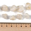 Natural Shell Beads Strands X-SHEL-K009-11-4
