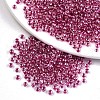 8/0 Glass Seed Beads SEED-A015-3mm-2209-1