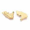 201 Stainless Steel Pendants STAS-N109-223G-2