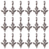 CHGCRAFT 36Pcs Alloy European Dangle Charms MPDL-CA0001-06B-7
