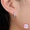 S925 Sterling Silver Clear Cubic Zirconia Hoop Earrings ZZ2919-1