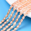 Natural Cultured Freshwater Pearl Beads Strands PEAR-N012-03M-1