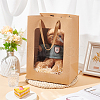Paper Visible Window Gift Bags with Rope Handles ABAG-WH0040-14B-5