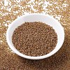 MIYUKI Round Rocailles Beads X-SEED-G007-RR0345-3