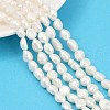 Natural Cultured Freshwater Pearl Beads Strands PEAR-P064-20C-04C-1