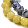 Natural Blue Spot Jasper/Flower Amazonite/Labradorite/Sesame Jasper/Glass Beads Strands G-P562-C-03-4