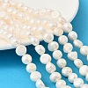 Natural Cultured Freshwater Pearl Beads Strands PEAR-P064-19K-05B-1