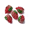 Resin Beads RESI-CJC0001-86B-1