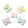 Opaque Resin Cabochons X1-RESI-K027-09-2