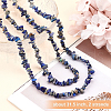 Olycraft 2 Strand Natural Lapis Lazuli Chip Bead Strands G-OC0002-30-4