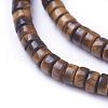 Natural Picture Jasper Beads Strands G-G783-10A-3