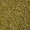Glass Seed Beads SEED-US0003-4mm-110-2