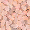 Frosted Glass Seed Beads SEED-N008-05A-3