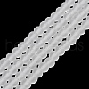 Transparent Glass Beads Strands EGLA-A044-T1mm-MD19-2