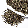 Electroplate Glass Seed Beads SEED-S042-01B-03-1