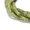 Natural Xinyi Jade Chinese Southern Jade Beads Strands G-Z006-C19-A-4