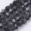 Natural Black Larvikite Beads Strands G-J376-47A-8mm-1