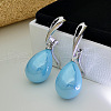 Brass Plastic Hoop Earrings WG47D07-04-1